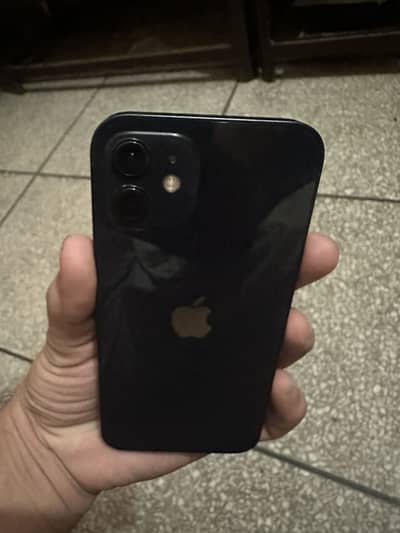 iPhone 12 - Lush Condition