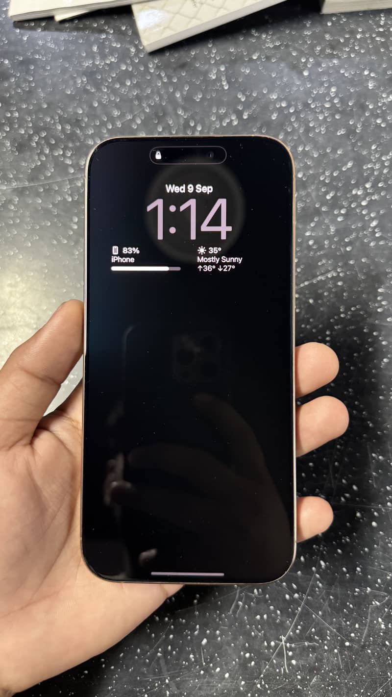 Apple iPhone 16 Pro Max 1