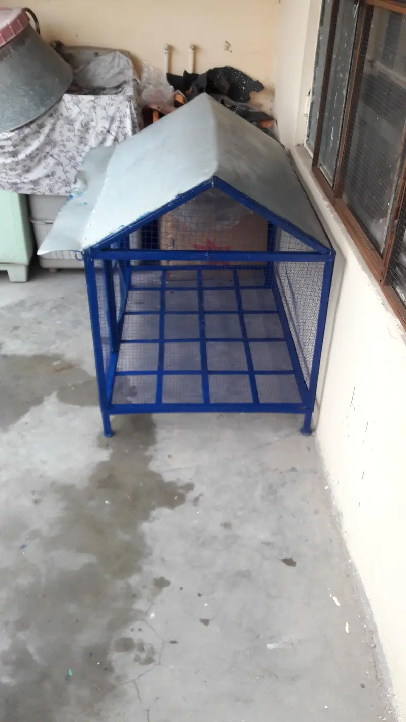 2 Cage For Sale — photo 9