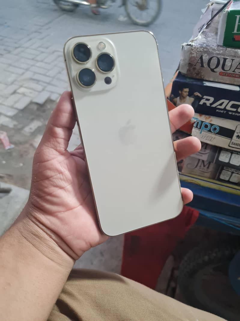 Apple iPhone 13 Pro Max 0