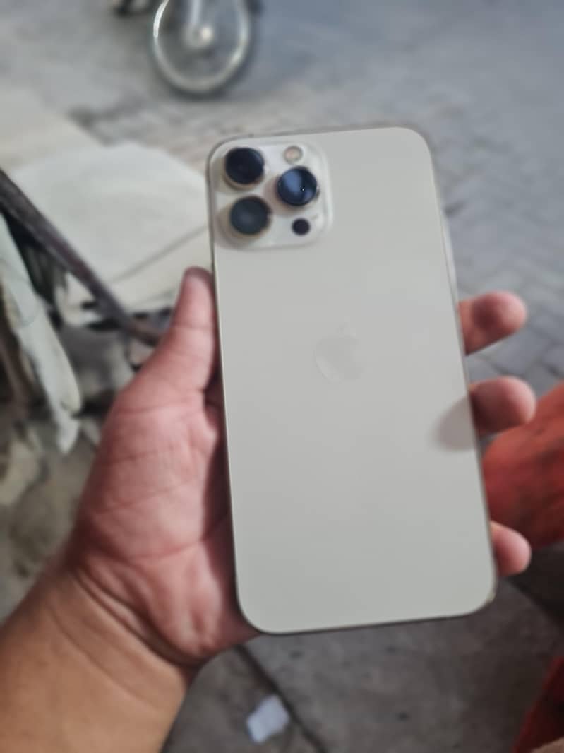 Apple iPhone 13 Pro Max 1
