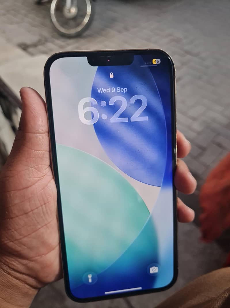 Apple iPhone 13 Pro Max 2