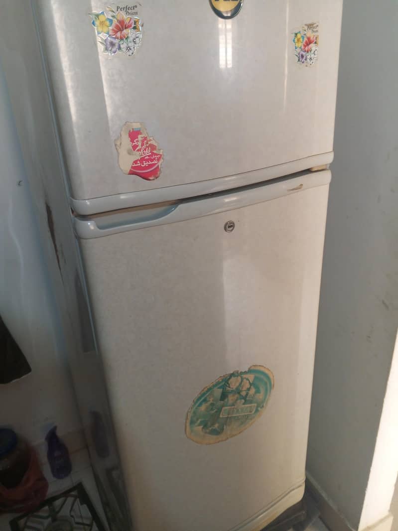 freez 1