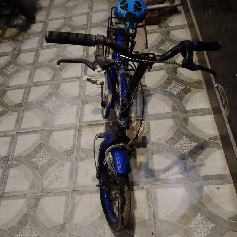 Chicago bycycle 1