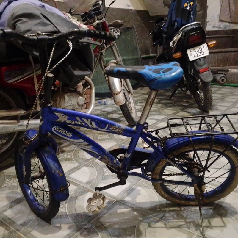 Chicago bycycle 2