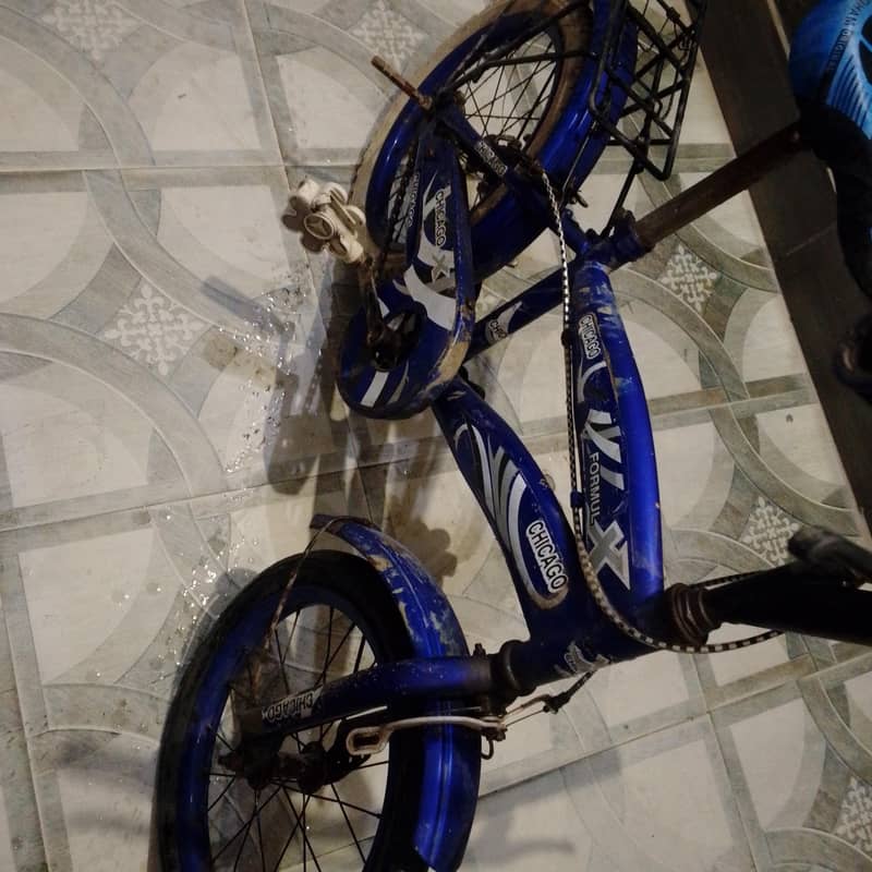 Chicago bycycle 4