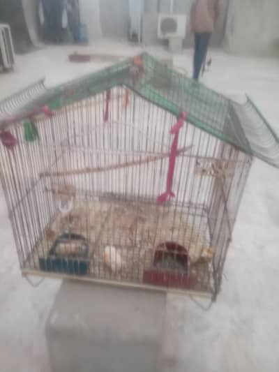 parrot cage 03100011685