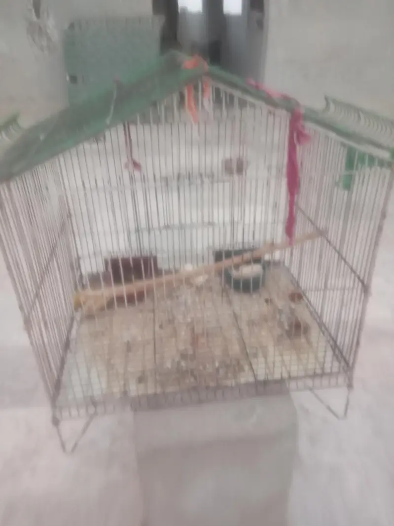 parrot cage 03100011685 — photo 2