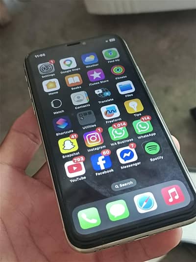 Apple iPhone X