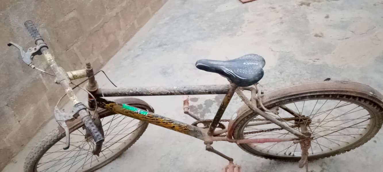 BICYCLE 1