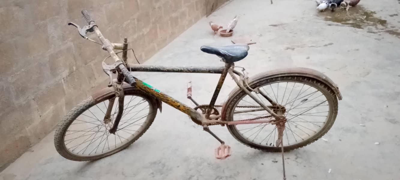 BICYCLE 2