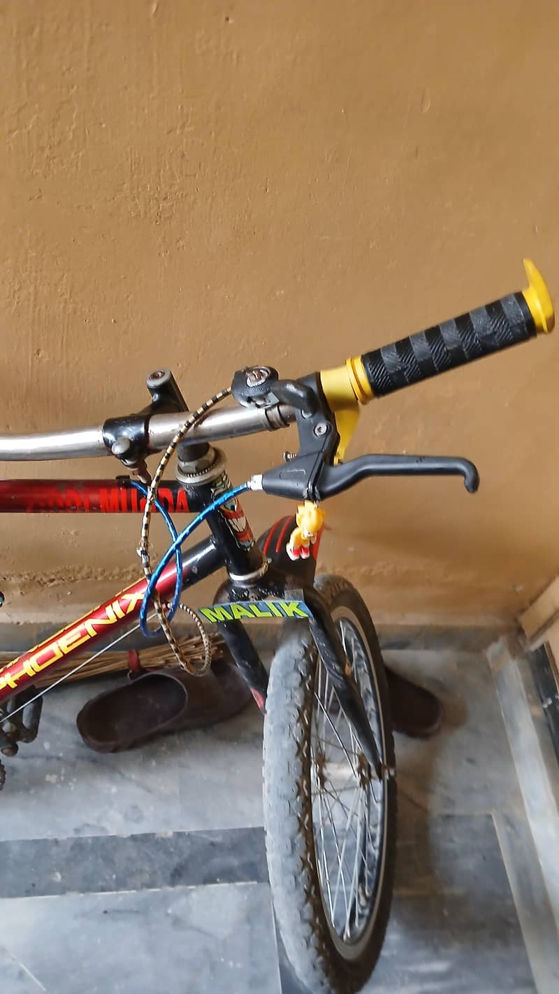 bicycle 1