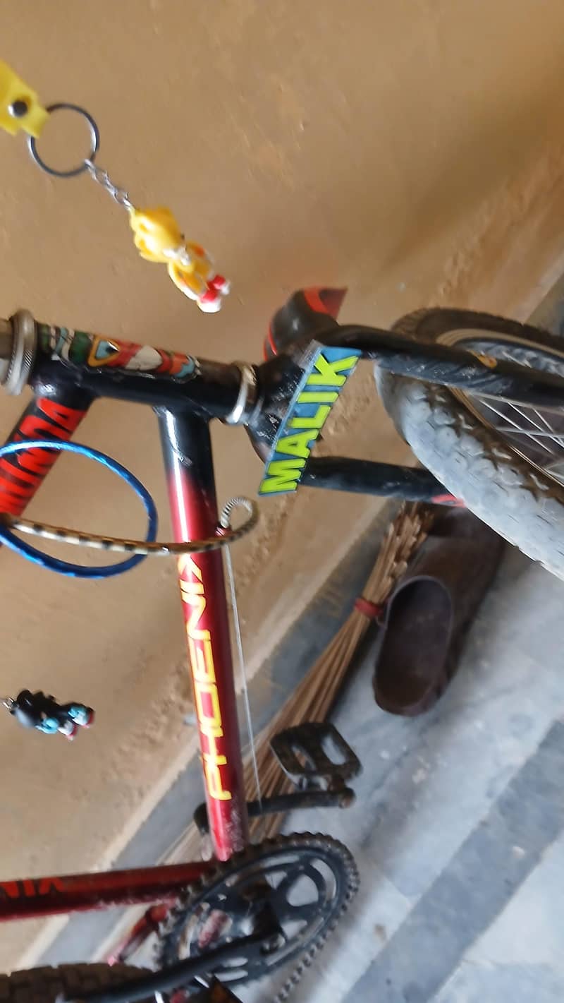 bicycle 3