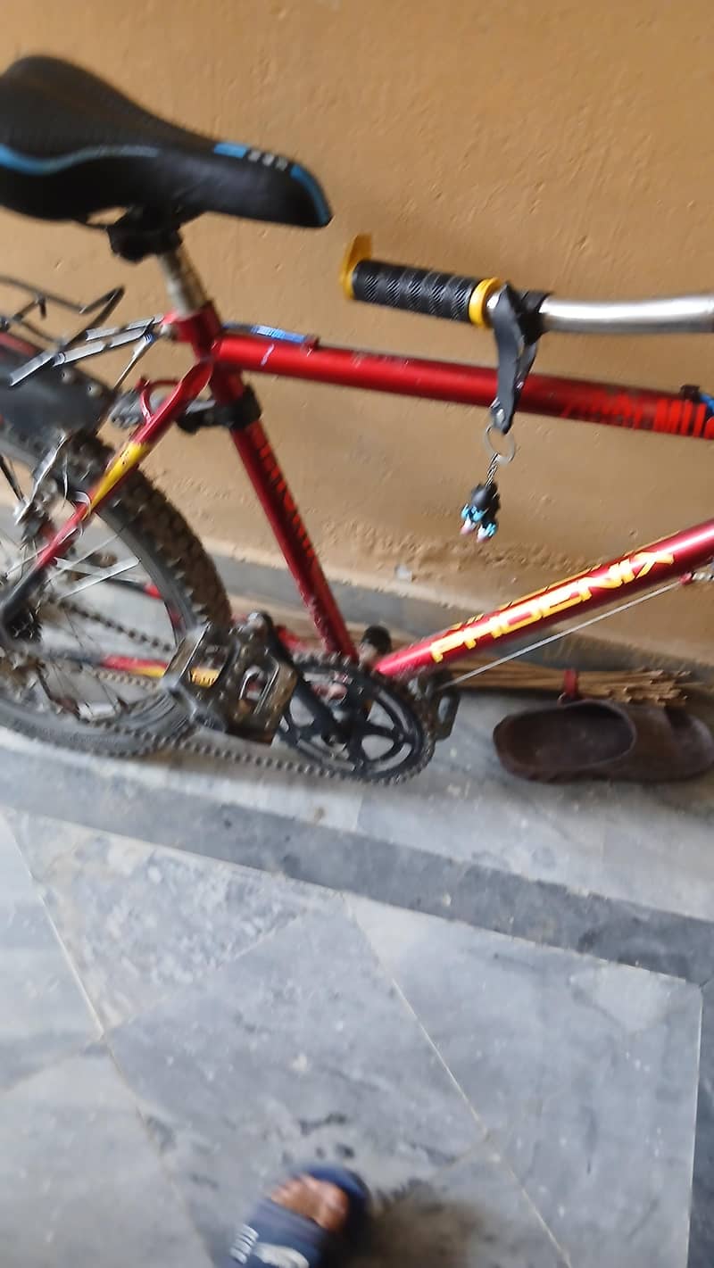bicycle 4