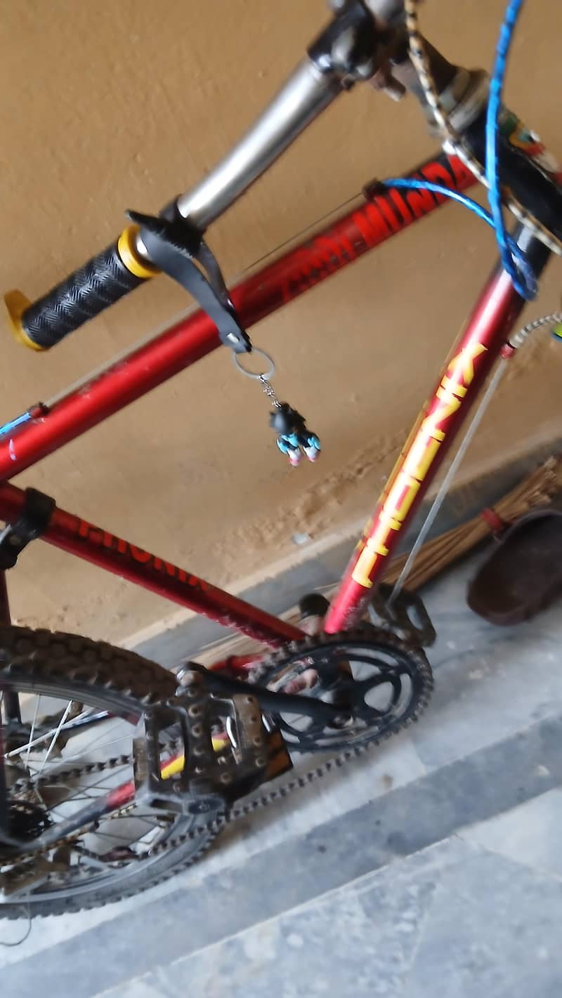 bicycle 5
