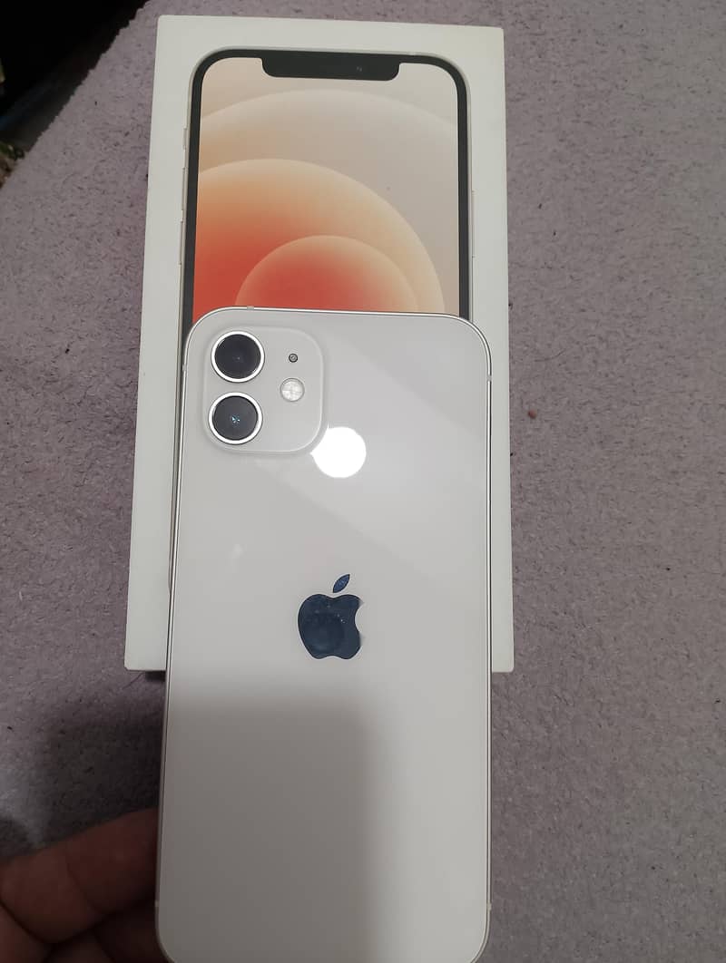 Apple iPhone 12 0