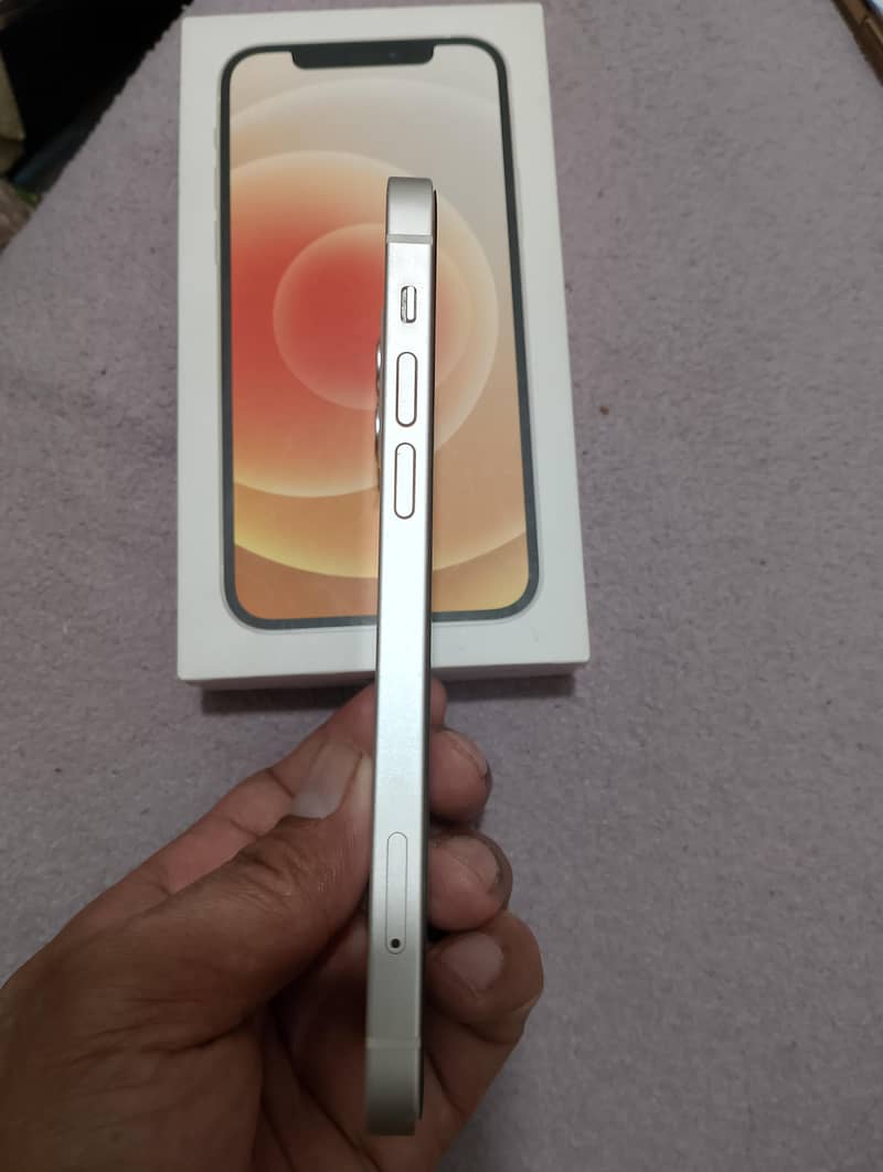 Apple iPhone 12 1