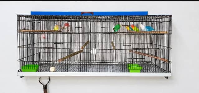 6 PC love birds withe cag 1.5×4 . . . 2partion