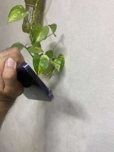 I phone 14 pro max