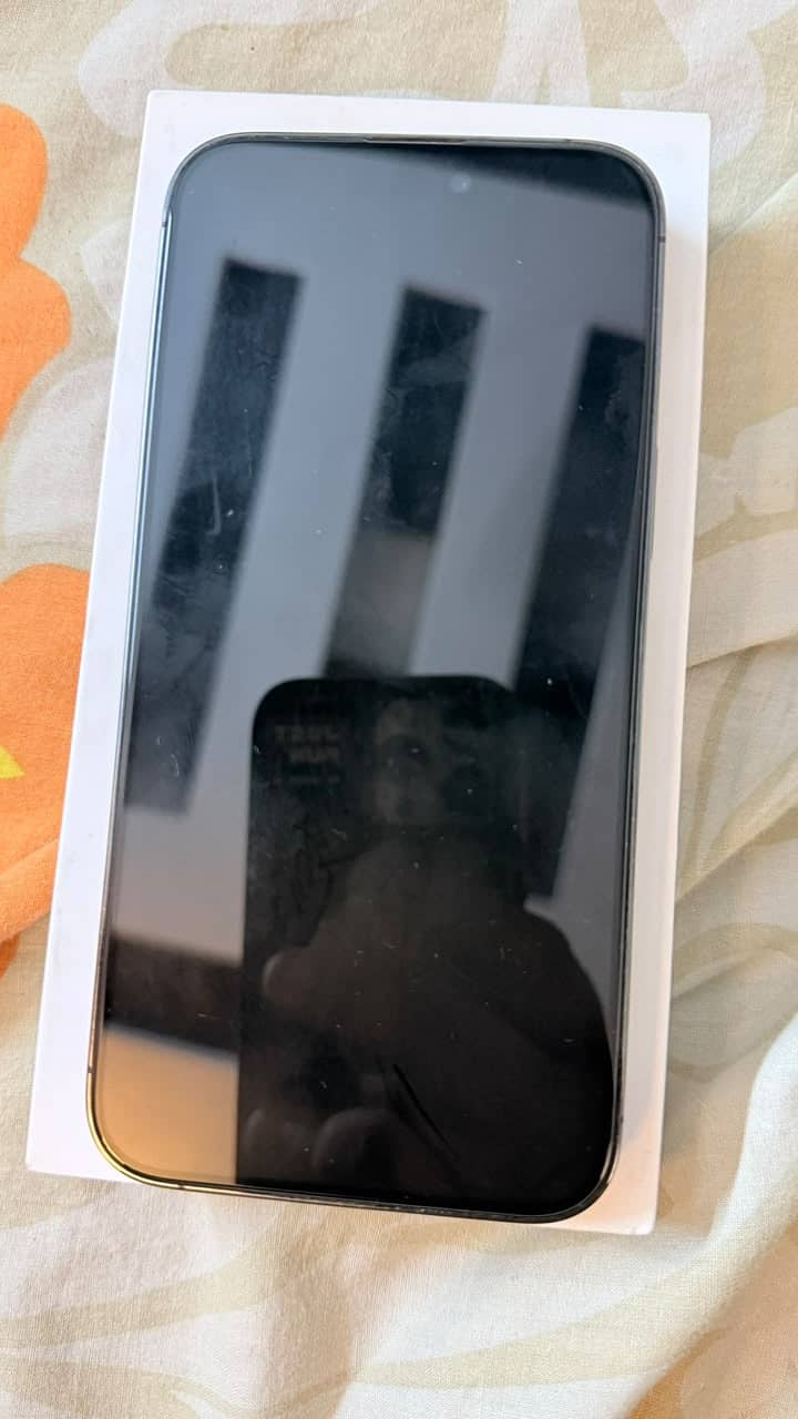 Apple iPhone 14 Pro Max 1