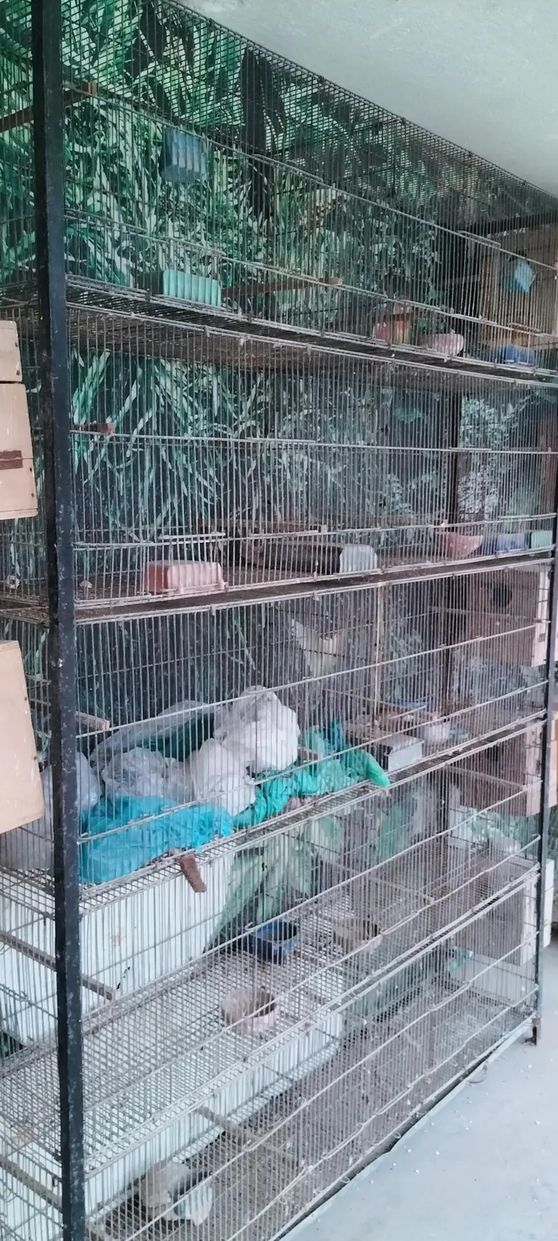 urgent sale — photo 4