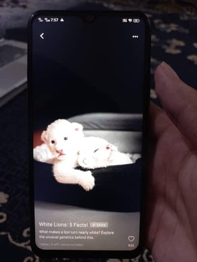 Vivo Y15