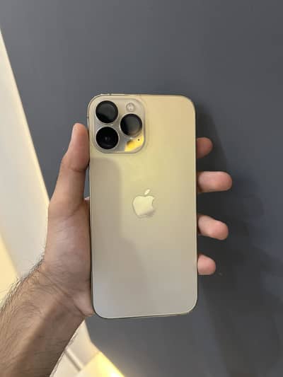 Apple iPhone 13 Pro Max
