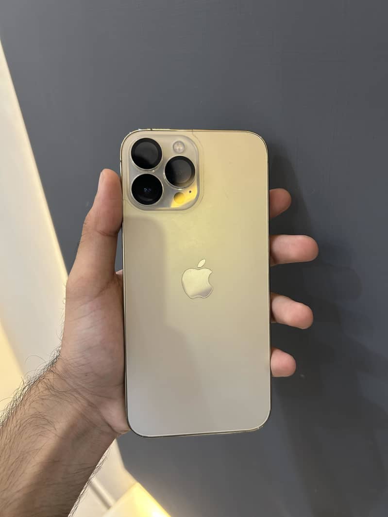 Apple iPhone 13 Pro Max 0