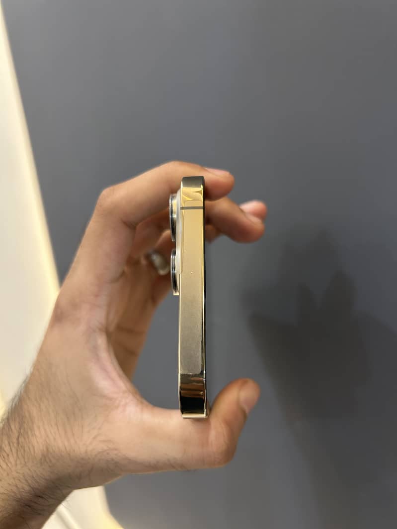 Apple iPhone 13 Pro Max 1