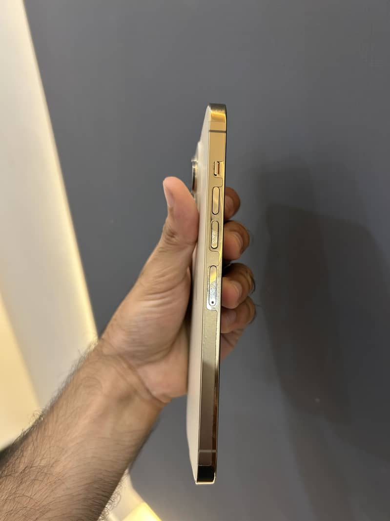 Apple iPhone 13 Pro Max 2