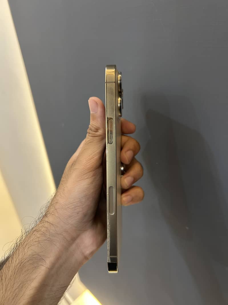 Apple iPhone 13 Pro Max 3