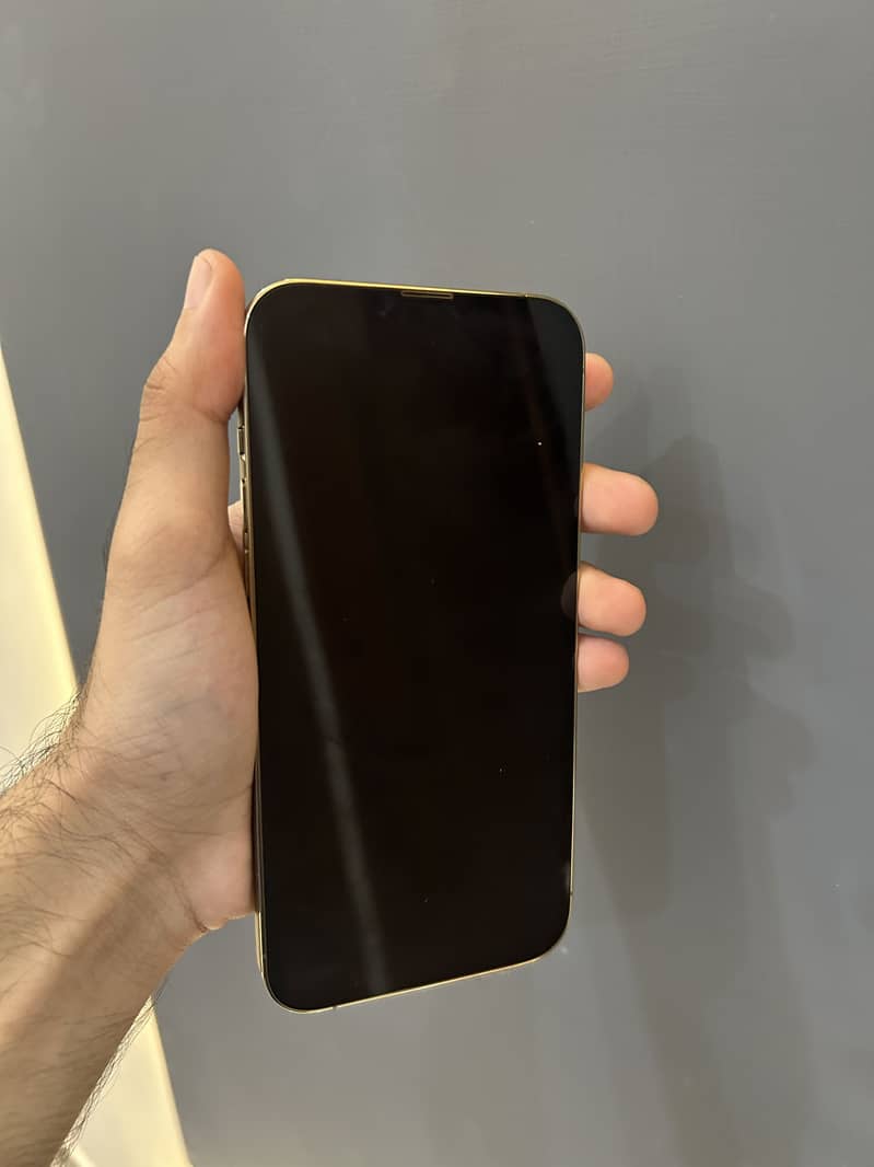 Apple iPhone 13 Pro Max 4