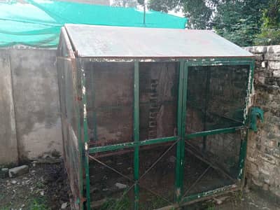 Heavy-Duty 6×6×5 ft Iron Chicken / Bird Cage for Sale