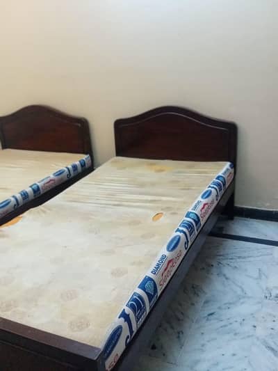 Room for rent only for FEMALES , I-8 near Shifa International Hospital