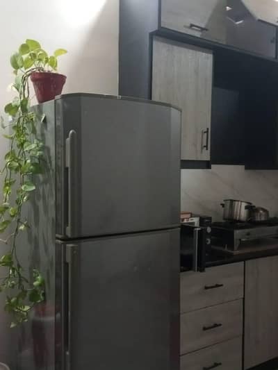 jumbo refrigerator for selling