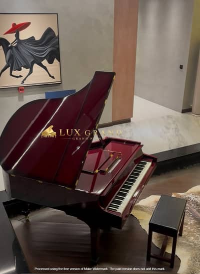 Grand Piano For Sale /New Grand Piano/Professional Piano/Custom Piano