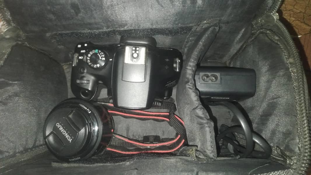 CANON1300D 8
