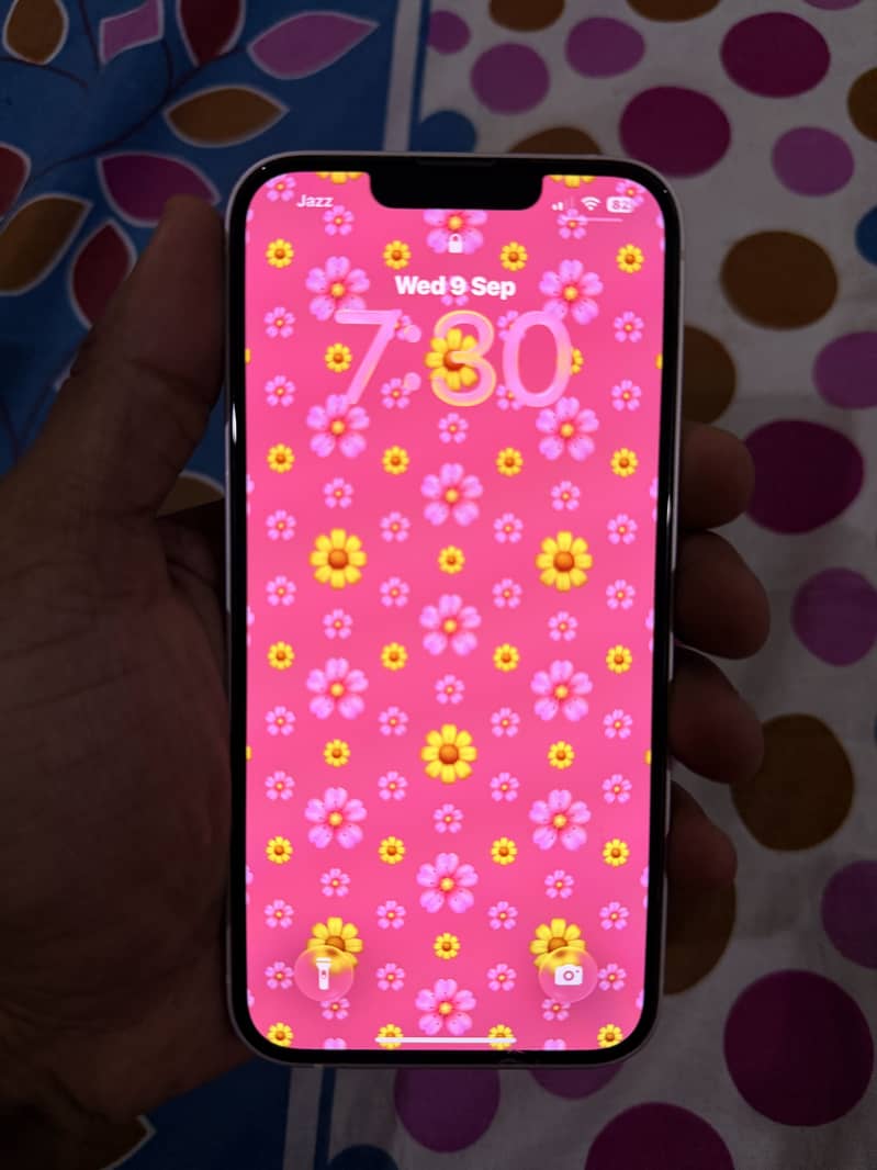 Apple iPhone 13 0