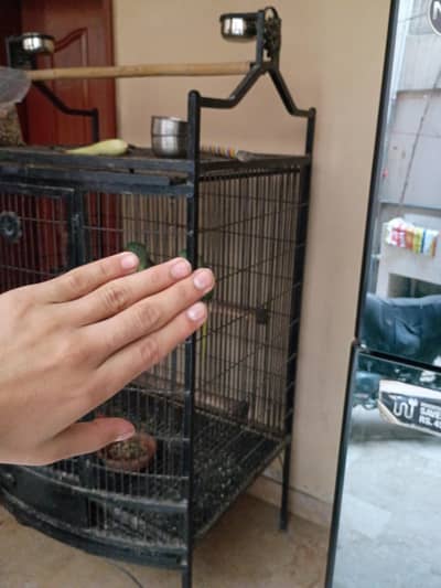 macaw parrot cage for sale