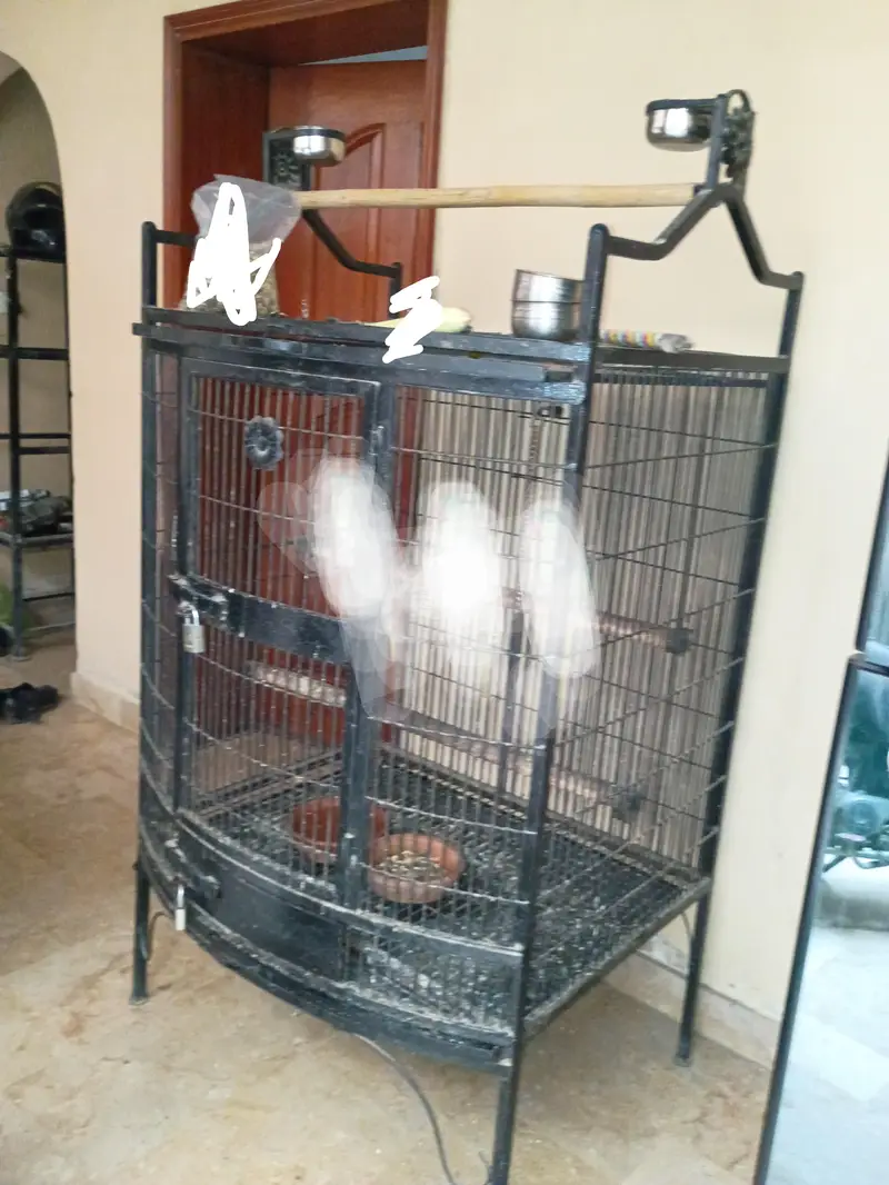 macaw parrot cage for sale — photo 3