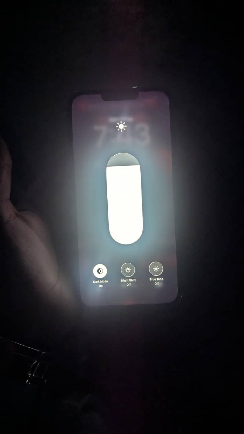 Apple iPhone 13 Pro Max 2