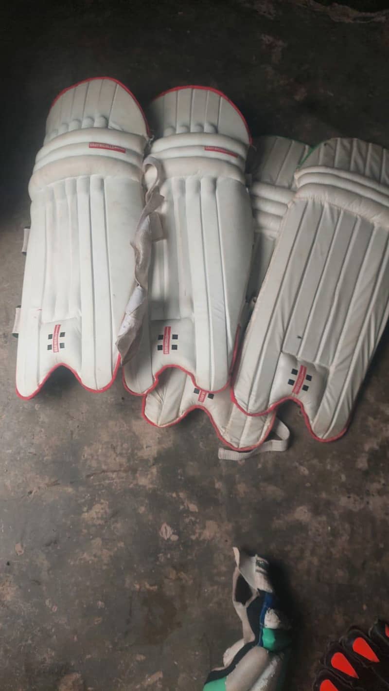 cricket kit 5