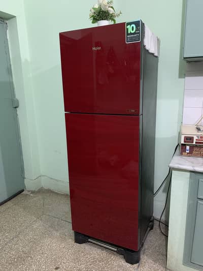 Haier fridge medium size red glass door