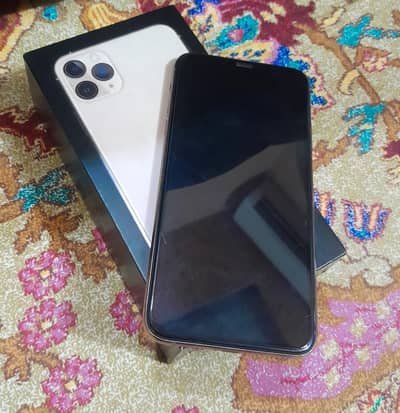 Apple iPhone 12 Pro Max