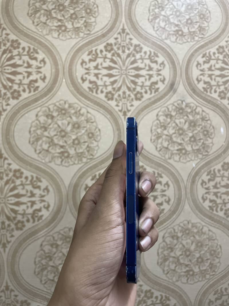 Apple iPhone 12 mini 1
