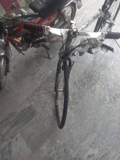 Bridgestone Bicycle
