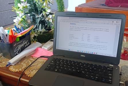 Dell Latitude 3310