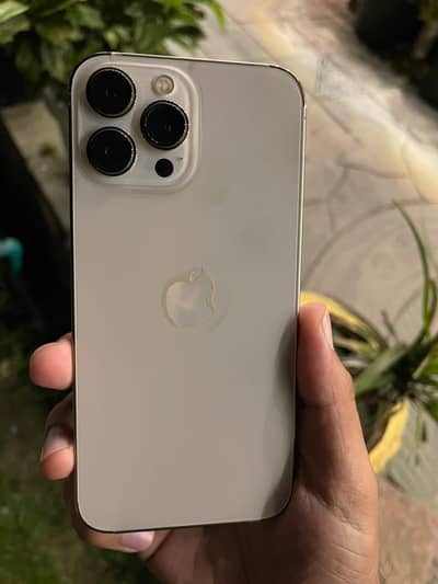 Apple iPhone 13 Pro Max