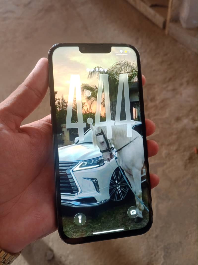 Apple iPhone 13 Pro Max 0