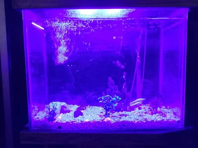 aquarium 2x2.5x1.5